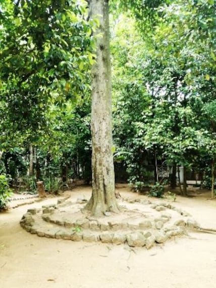 New Ranweli Spice Garden-5